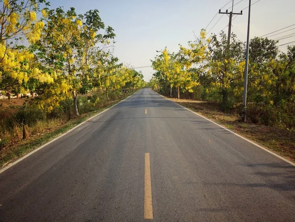 Road Yellow Flowers Both Sides Summer — Stock Photo, Image