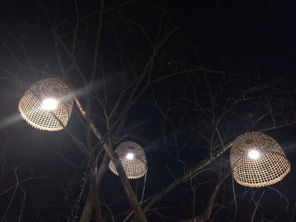 Ağaçta Işık Lambası Olarak Kullanılan Tavuk Kümesleri — Stok fotoğraf
