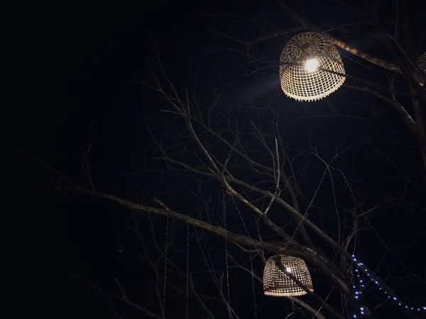 Ağaçta Işık Lambası Olarak Kullanılan Tavuk Kümesleri — Stok fotoğraf