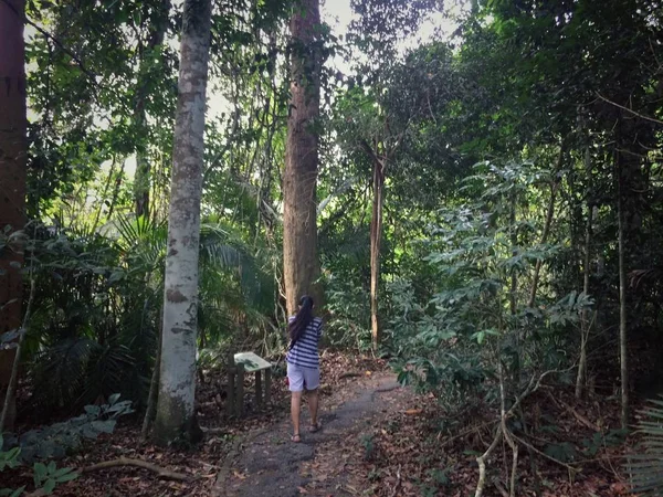 Жінка Проходить Через Природний Ліс — стокове фото