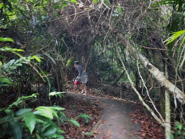 Een Vrouw Wandeling Door Natuur Bos — Stockfoto