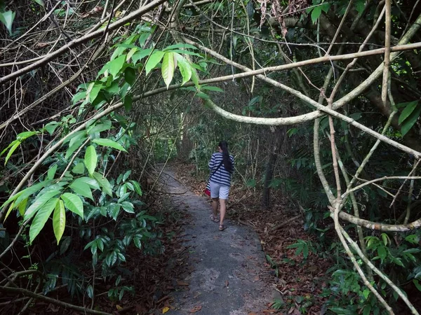 自然の森を歩く女性 — ストック写真
