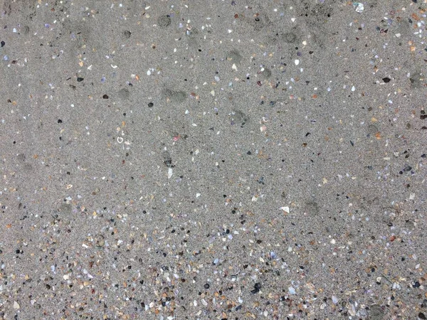 Conchas Areia Fundo Praia Textura Praia — Fotografia de Stock