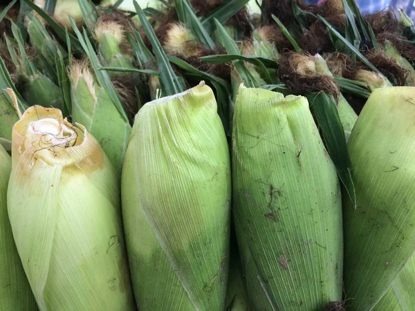 Frischer Grüner Mais Zum Kochen Zubereitet — Stockfoto