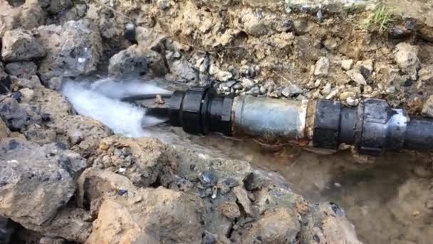 Water Leaks Due Broken Underground Plumbing — Stock Video