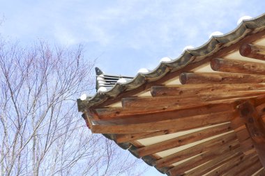 Kore'de Budist tapınağı Çatı. Geleneksel oryantal mimari dış tasarım.