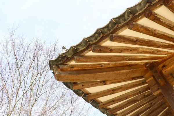 Kore'de Budist tapınağı Çatı. Geleneksel oryantal mimari dış tasarım.