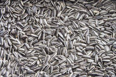 kaba doku arka plan için kullanılabilir