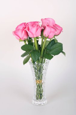 Güzel pembe gül beyaz arka plan izole