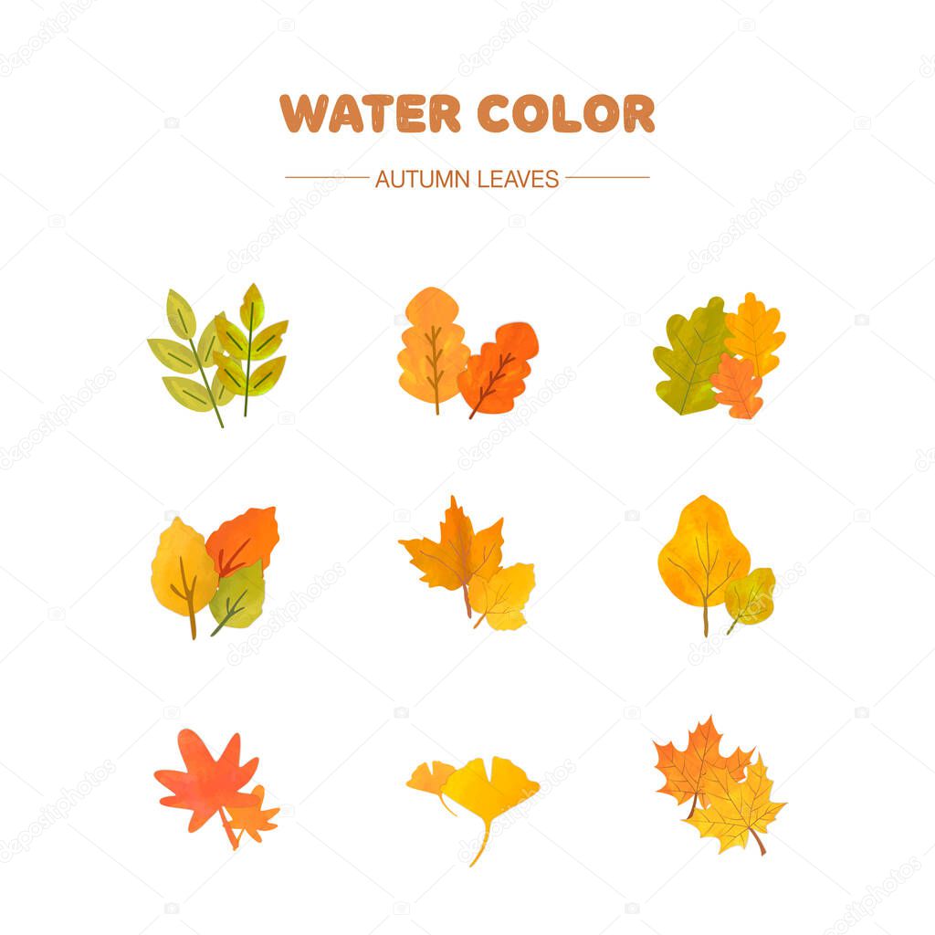 paint vector layer : watercolor leaf