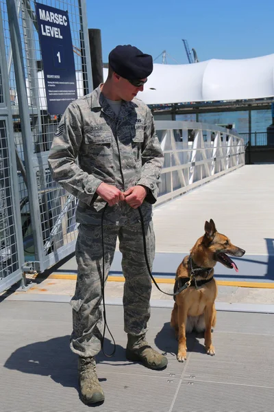 私たち空軍 犬が艦隊週 2018 中にセキュリティを提供するブルックリン ニューヨーク 2018 — ストック写真