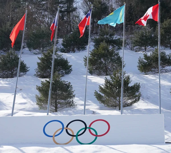 Pyeongchang Corea Del Sud Febbraio 2018 Anelli Olimpici Alle Olimpiadi — Foto Stock