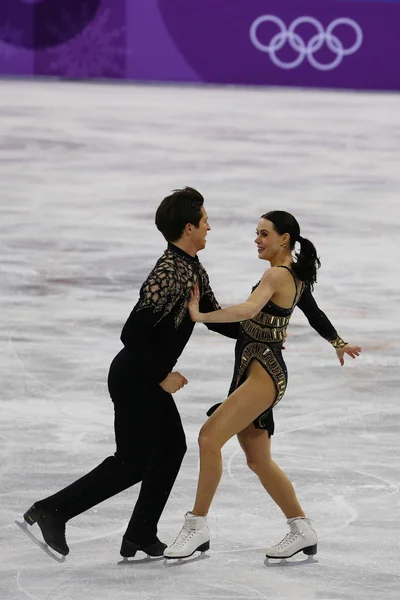 Gangneung Південна Корея Лютого 2018 Два Рази Олімпійських Чемпіонів Теса — стокове фото