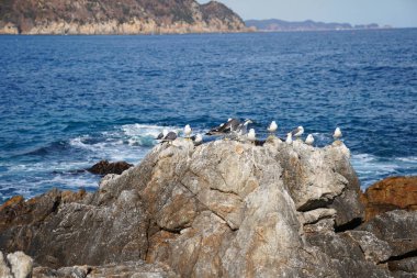Sahil sahne Gangwon-do Province, Güney Kore