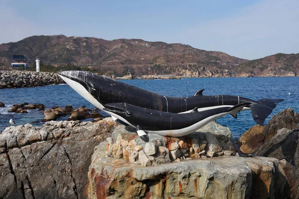 Paisagem Costeira Província Gangwon Coreia Sul — Fotografia de Stock