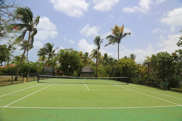 Tenis Kortu Tropikal Tatil — Stok fotoğraf