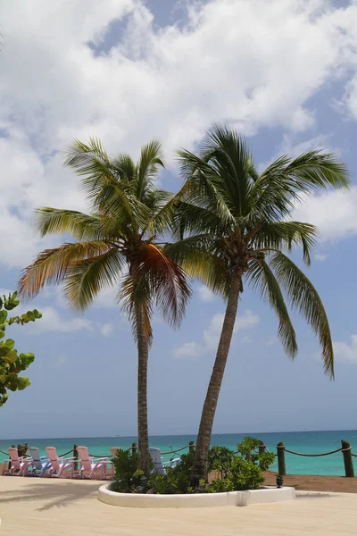 美丽的加勒比海滩 — 图库照片