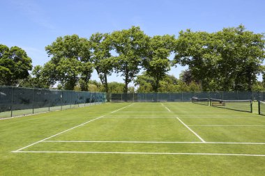 Çim tenis kortları
