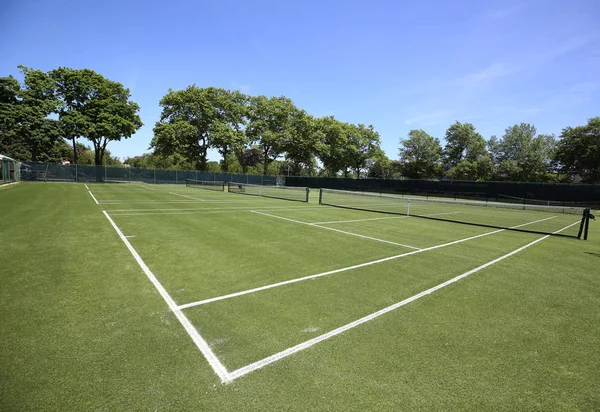 Les Courts Tennis Herbe — Photo