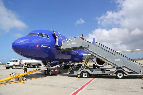 Osbourn Antigua Barbuda Juni 2018 Jet Blue Vliegtuig Asfalt Bird — Stockfoto