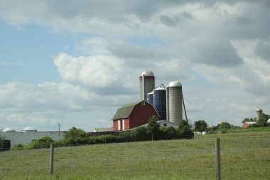 Cenevre, New York - 18 Temmuz 2018: süt çiftliği parmak Göller bölgesinde, şehir dışında New York