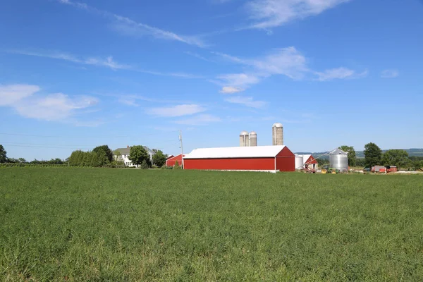 Genf New York Juli 2018 Milchfarm Der Finger Seen Region — Stockfoto