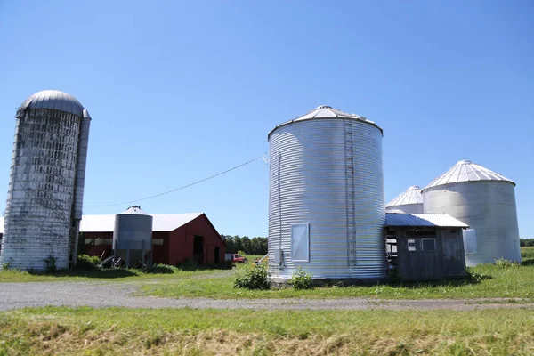 Genève New York Juillet 2018 Ferme Laitière Dans Région Finger — Photo