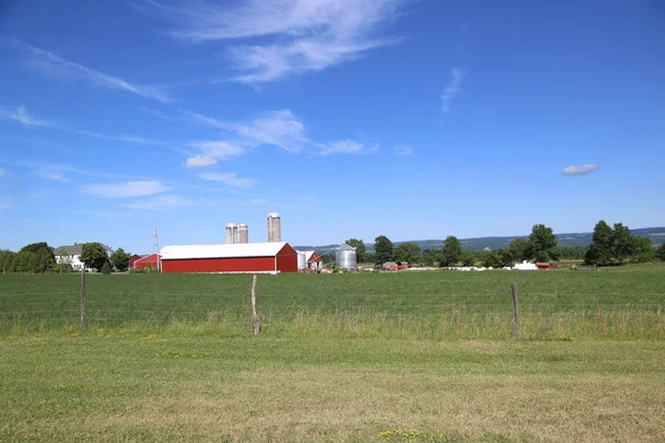 Genève New York Juli 2018 Melk Boerderij Finger Lakes Regio — Stockfoto