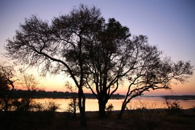 Zambezi Nehri üzerinde gün doğumu
