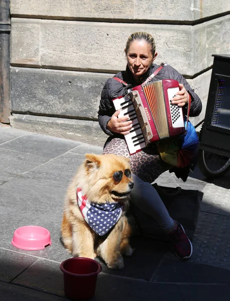 Edinburgh Écosse Juillet 2018 Musicien Rue Avec Chien Édimbourg Écosse — Photo