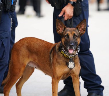 New York polisi K-9 köpek güvenlik Ulusal Tenis Merkezi 2018 bize açık sırasında sağlar 