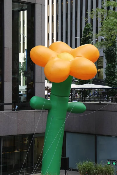 New York August 2018 Grown Flowers Installation Playlab Inc Midtown — Stock Photo, Image