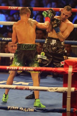 New York - 8 Aralık 2018: Eylem New York Madison Square Garden'da Jose Pedraza karşı başlık birleşme mücadele hafif dünya şampiyonu Vasili Lomachenko Ukrayna (Yeşil mayo)