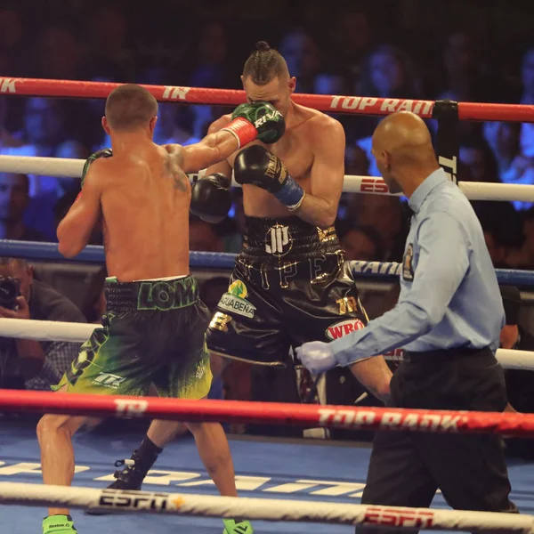 New York December 2018 Lätta Världsmästare Vasiliy Lomachenko Ukraina Gröna — Stockfoto