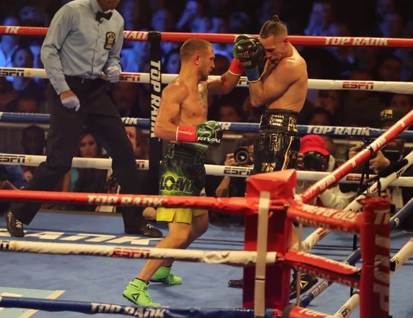 New York December 2018 Lätta Världsmästare Vasiliy Lomachenko Ukraina Gröna — Stockfoto