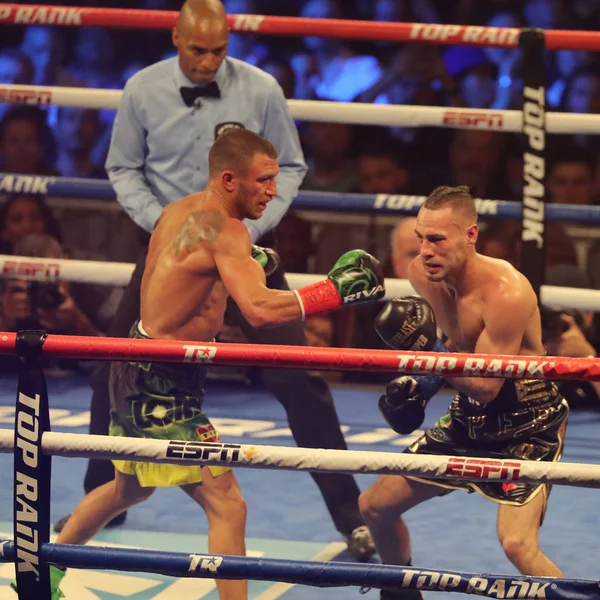 New York December 2018 Lätta Världsmästare Vasiliy Lomachenko Ukraina Gröna — Stockfoto