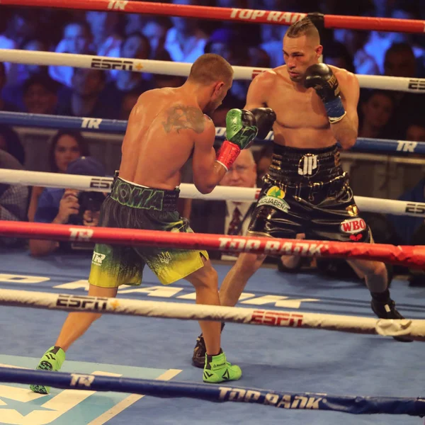 New York December 2018 Lätta Världsmästare Vasiliy Lomachenko Ukraina Gröna — Stockfoto