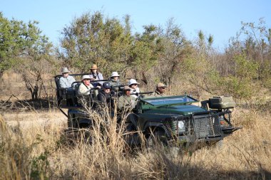 Hazyview, Güney Afrika - 30 Eylül 2018: Safari araç Sabi kum oyun rezerv, Güney Afrika için