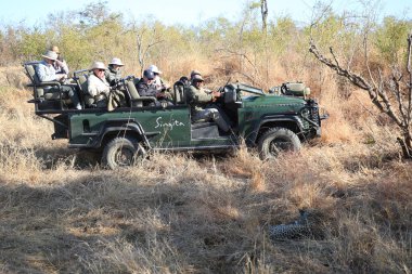 HAZYVIEW, GÜNEY AFRİKA - 30 EYLÜL 2018: Güney Afrika 'da Sabi Kumları oyun parkında Afrika leoparını gözlemleyen safari aracıyla turistler