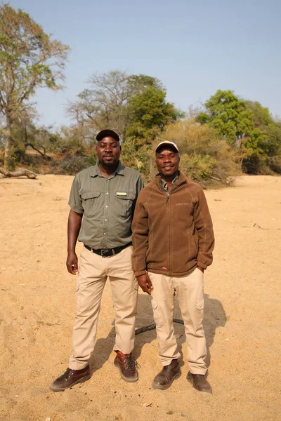 Hoedspruit Sydafrika September 2018 Kings Camp Safari Ranger Och Spotter — Stockfoto