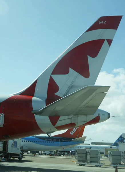 Punta Cana Dominikanska Republiken December 2018 Air Canada Tailfin Asfalten — Stockfoto