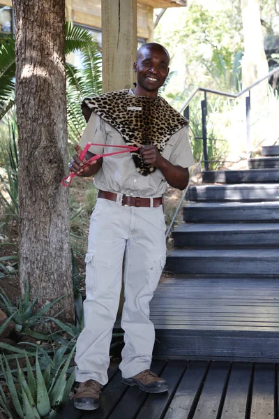 Hazyview South Africa October 2018 Lodge Employee Protects Tourists Monkeys — Stock Photo, Image