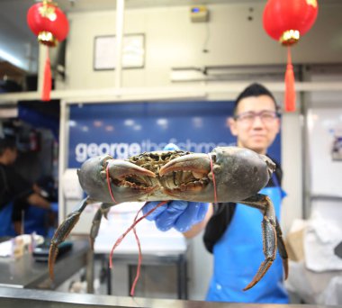 Melbourne, Avustralya - 24 Ocak 2019: Queen Victoria Market'te dev çamur yengeci.  