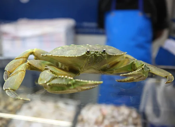 Evropský Zelený Krab Známý Též Jako Evropský Pobřežní Krab — Stock fotografie