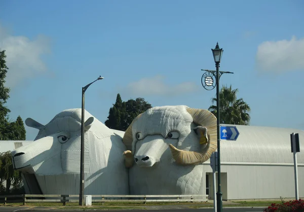 Tirau Nieuw Zeeland Februari 2019 Gegolfd Ijzer Grote Schapen Gebouwen — Stockfoto