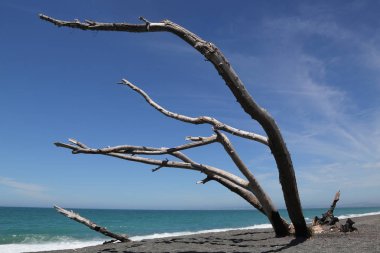 Hawkes Bay, Yeni Zelanda Kuzey Adası Napier şehirde Deniz geçit töreninde çekilen güzel plaj sahne