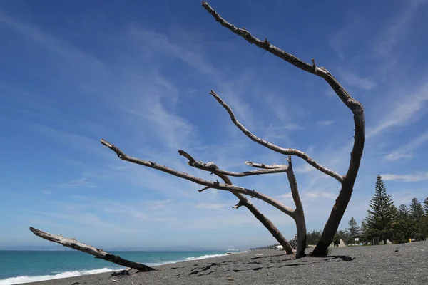 Beautiful Beach Scenery Shot Marine Parade Napier City Hawkes Bay — Stock Photo, Image