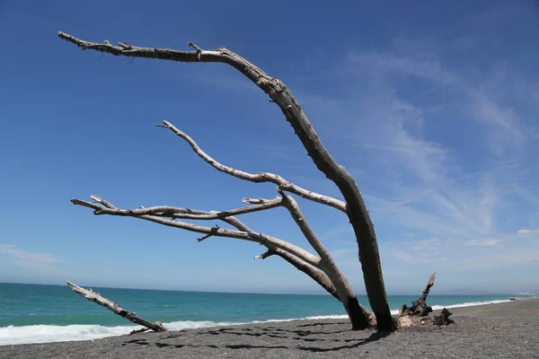 Beau Paysage Plage Tourné Sur Marine Parade Dans Ville Napier — Photo