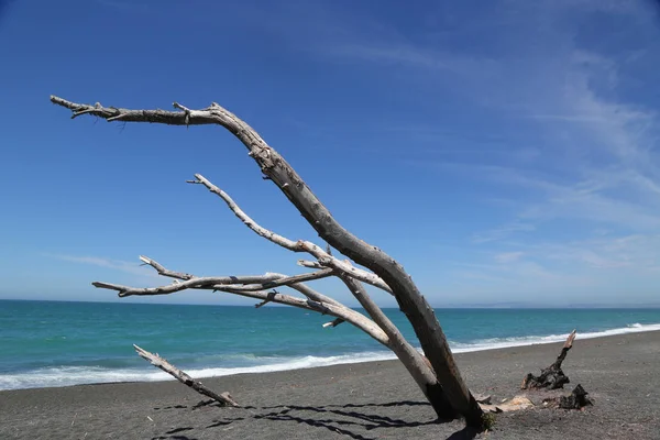 Beau Paysage Plage Tourné Sur Marine Parade Dans Ville Napier — Photo