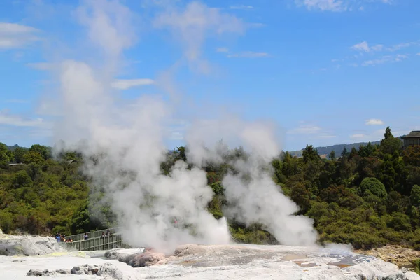 Pohutu Geyser Parque Nacional Puia Rotorua Nova Zelândia — Fotografia de Stock